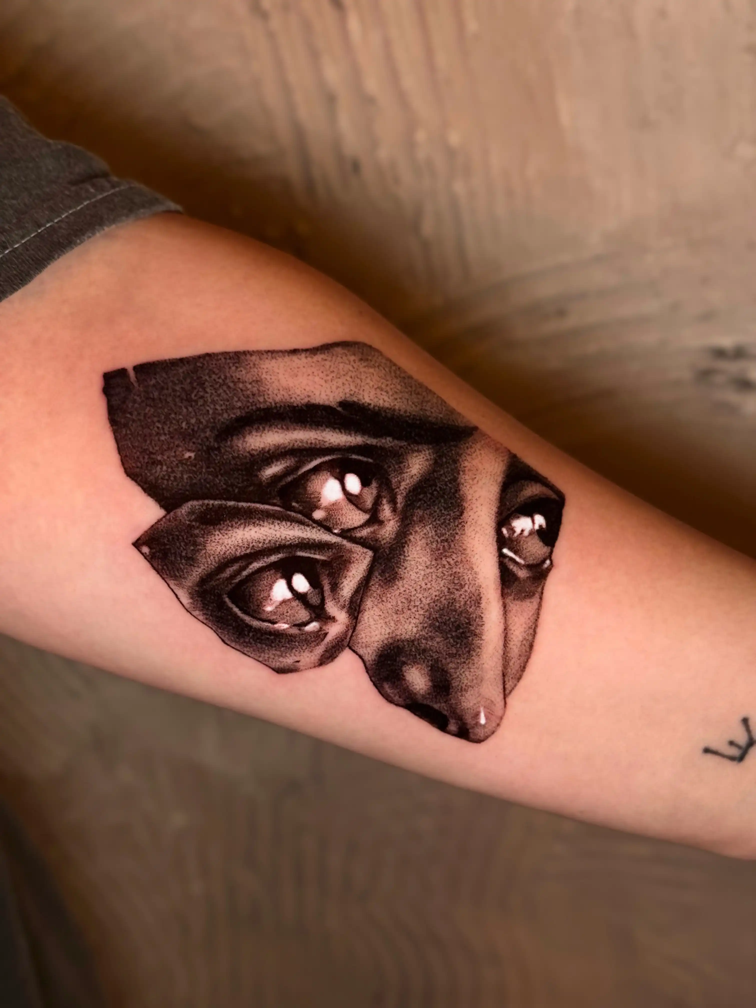 portfolio_zuzana_tatt_8