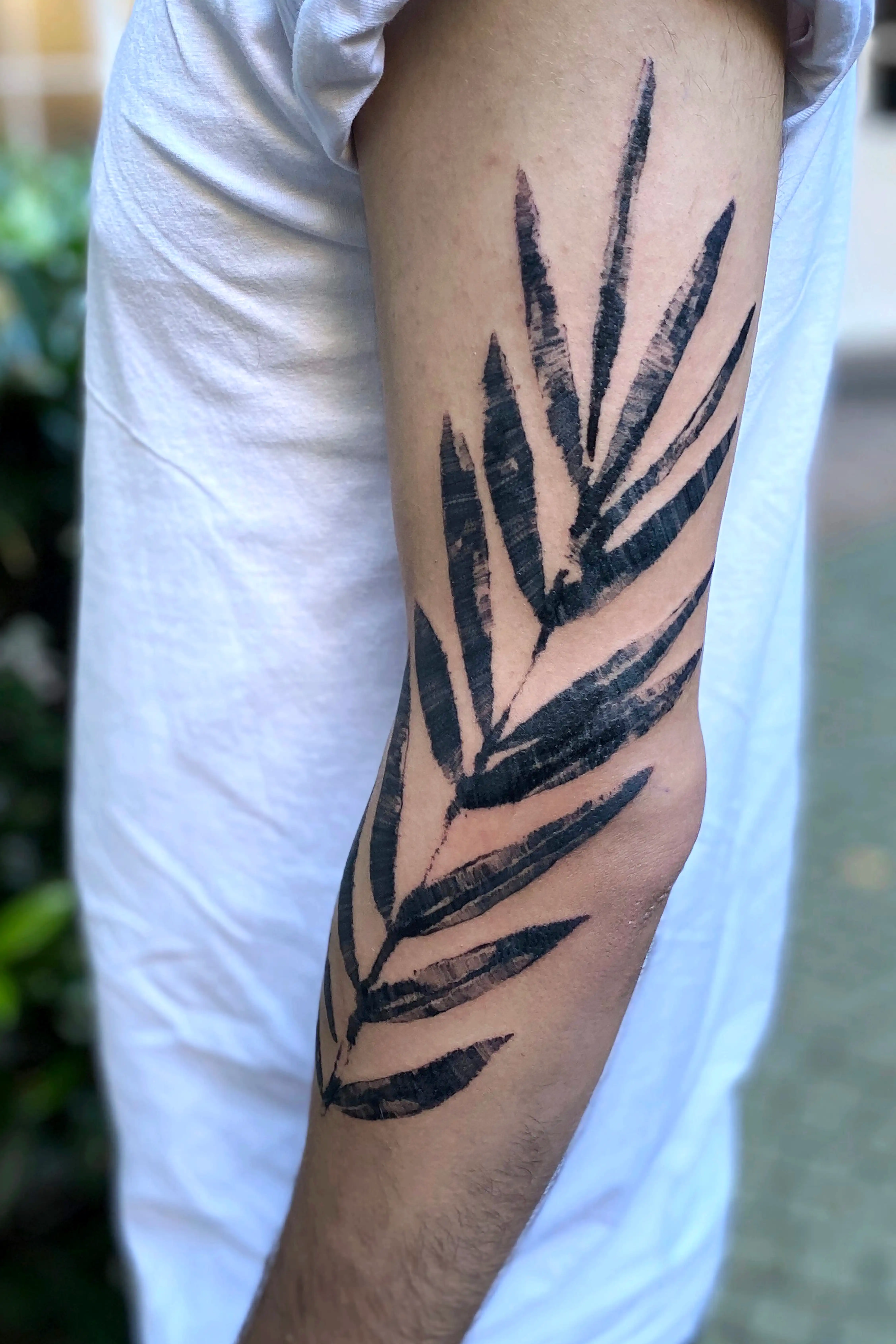 portfolio_mono_tatt_1